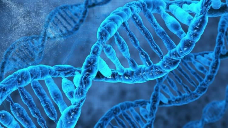 Akraba evliliği genetik testleri