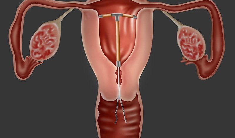 Spiralin koruyuculuk oranı