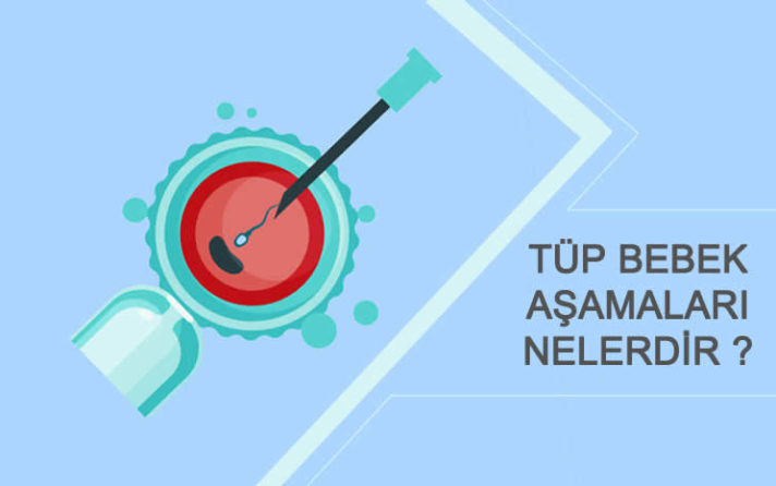 Tüp bebek aşamaları